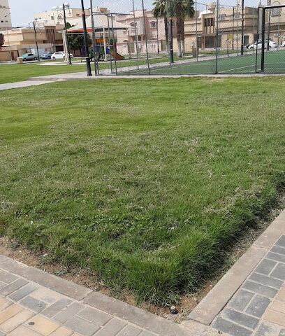 مركز صحي الخالدية - Najran - +966 17 522 4875