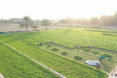 ابداع وطن العقاري - Al Qatif - +966 50 499 6433