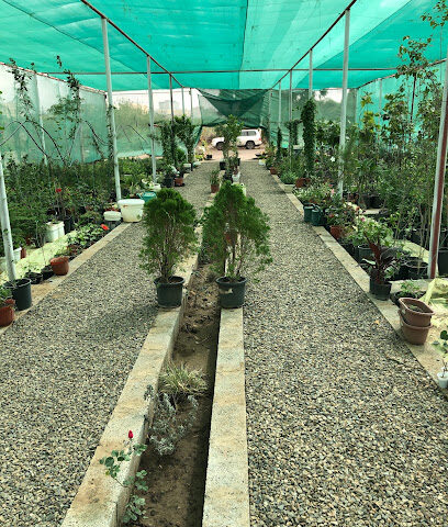 مشتل ريف ابها - Abha - +966 55 595 6282