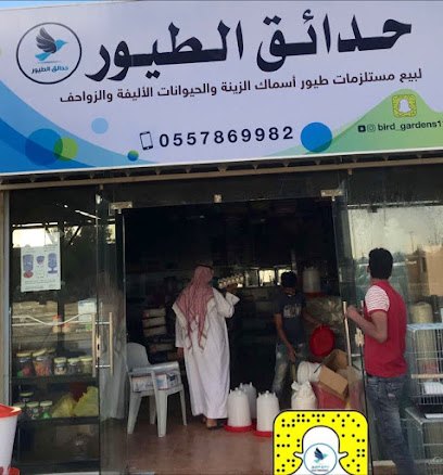Bird Market - Buraydah -