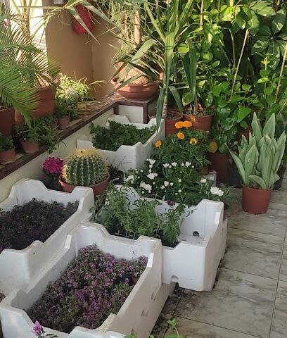 Basateen Al- Andalus Nursery - Abha - +966 54 721 7431