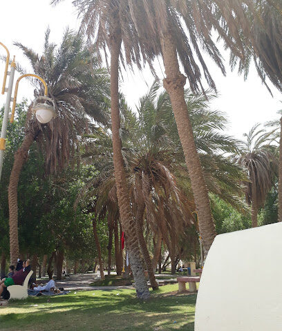 مؤسسه سعود حامد البلوي للمقاولات والمباني السكنيه والمعدات الثقيله - Tabuk - +966 55 038 9899