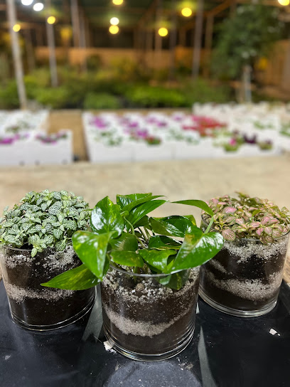 مشتل سنابل - Saudi Arabia|Buraydah 52583|Alrehab|2837، 7127