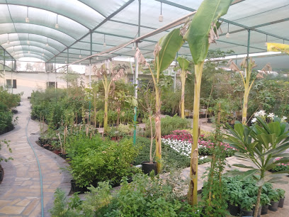 مشتل الفردان - Al Qatif - +966 59 250 5978