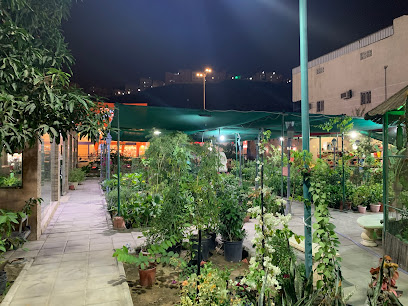 مشتل البدوي الزراعي - Mecca - +966 50 352 5674