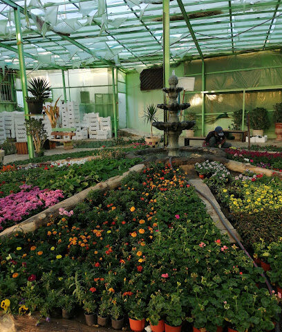 Arboretum Valley Atoud - Khamis Mushait - +966 50 474 4711