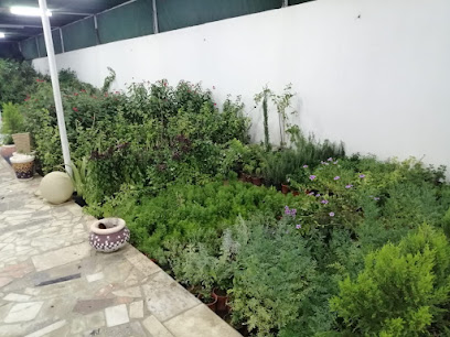 مشتل ريف نجران - Najran - +966 56 361 6170
