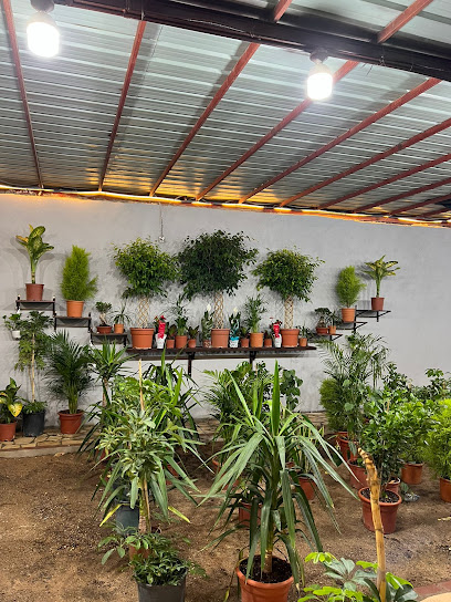 مشتل الديم - Saudi Arabia|Khamis Mushait 62453|Aseer Industrial City|Al-Mahalah Rd