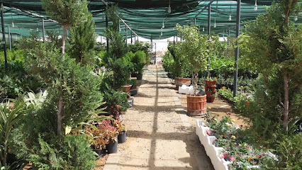 مشتل تبوك الحديث - Tabuk - +966 56 933 8917