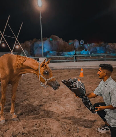 مربط العلم للخيل العربية الأصيلة - Al Madinah Al Munawwarah - +966 59 227 9082