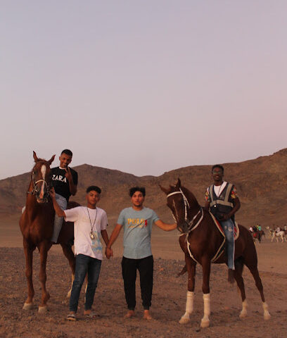 مربط المغربي - Al Madinah Al Munawwarah - +966 50 097 3712
