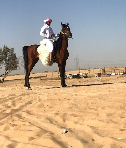 شاليه ومربط العليَاء - Buraydah - +966 50 005 9908