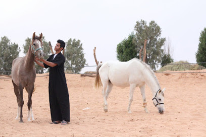 مربط سيوف نجد - جنوبا - +966 56 404 5588