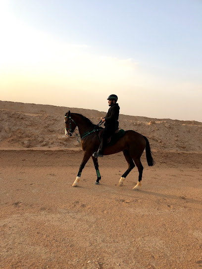 مربط الربيع لركوب الخيل (عبدالعزيز العنقري) - Saudi Arabia|Riyadh 13633|الشرق،|WRFR+C45