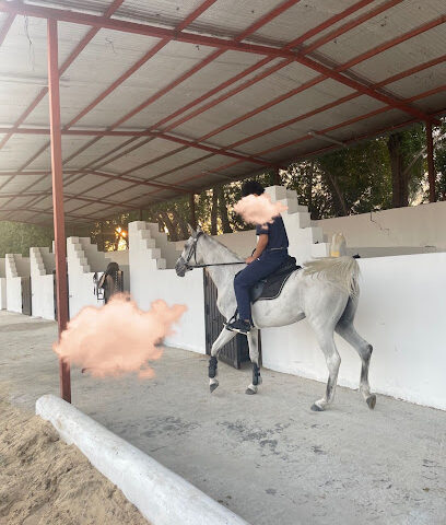 اسطبل اللولو Allulu stable - Safwa - +966 55 889 9283