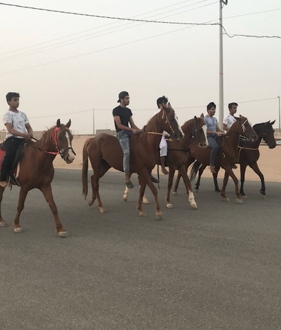 اسطبل الشفاء - Ar Rass - +966 55 999 7770