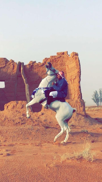 مربط النايفات للخيل العربية - Saudi Arabia|Al Qaid 55633|Unnamed Road