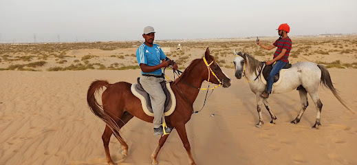 اسطبل الاسلمي - Dhahran - +966 55 266 9782