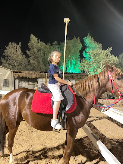 Glory Asayil Arabian horse stud - Saudi Arabia|52546|طريق الملك فهد(غرب) جوار المطار القصيم -بريدة- جوار|مصنع هنا للمياة العذبة