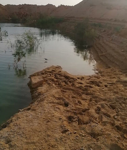 مسبح صحراوي - Desert Swimming Pool - Rughabah -