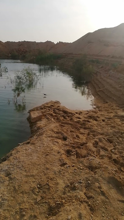 مسبح صحراوي - Desert Swimming Pool - Saudi Arabia|Rughabah 15229|3R2P+PPR
