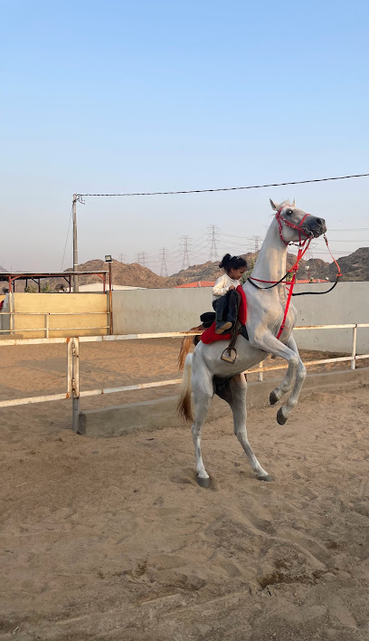 مربط غيث الحجاز للخيل العربية الأصيلة - Saudi Arabia|24249|Unnamed Road