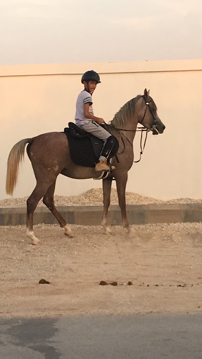 اسطبل ومربط الصلهام - Al Salham Equestrian Club - Saudi Arabia|Riyadh 13635|Ash Sharq