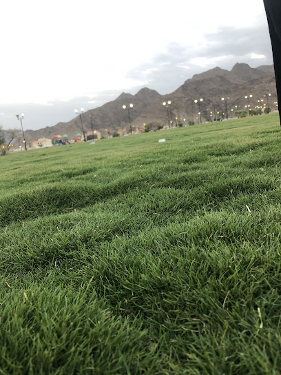 Green Valley Grocery - Saudi Arabia|Najran 66255|Alathaybah Ash Shamaliyyah Agricultural Subdivision
