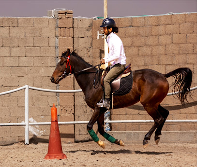 Working Line Traditional Equestrian Centre - Riyadh - +966 56 057 6613