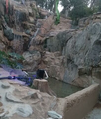 مربط عجائب للخيل العربية الأصيلة - Abha - +966 55 066 5404