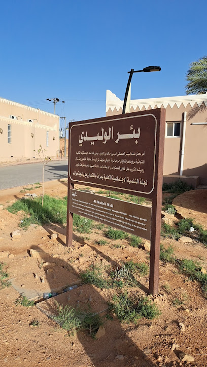 Well - Saudi Arabia|Marat 15532|3F9F+W58