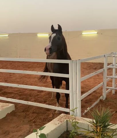 مربط البدران - Hail -