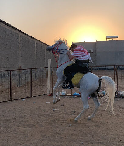 Feloah horse care riders stables - Jeddah - +966 12 619 6421