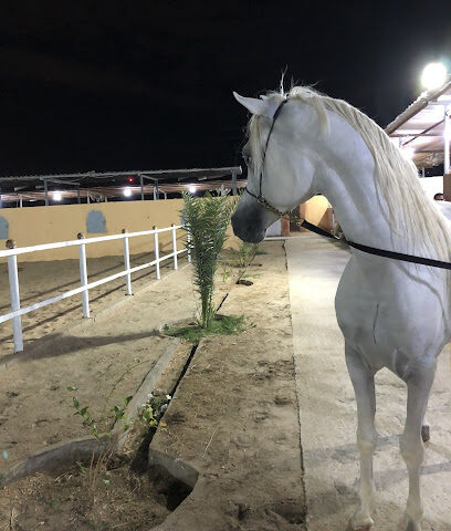 مربط حطين لإيواء الخيل العربية الأصيلة - Mecca - +966 55 302 1447