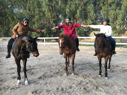 Alfaris Equestrian Center - Dammam - +966 50 054 9030