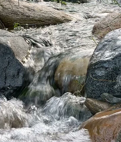 سامي الشمري - Taif -