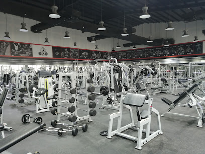 Muscle and fitness - Jazan - +966 56 991 9944