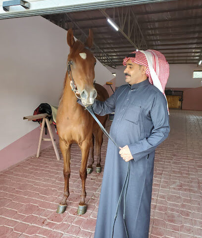مربط الحصن للعتاق - Alhada - +966 56 138 0030