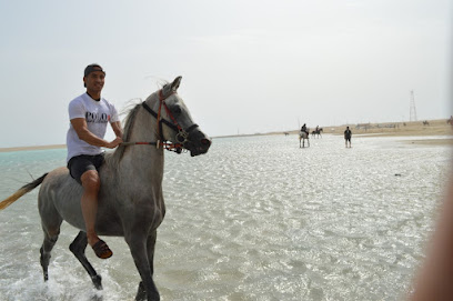 مربط الجواد الادهم - Hadda - +966 54 004 9967