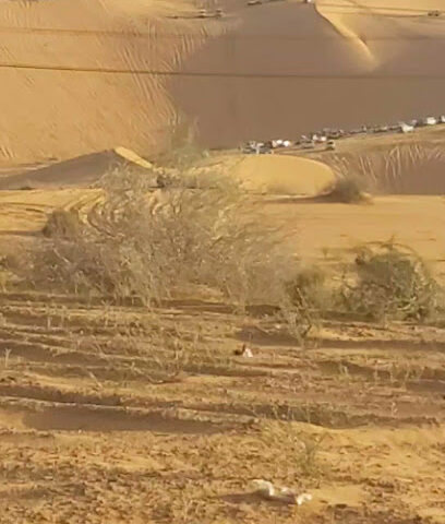 مرقى خمسين - Umm Al Qulban -