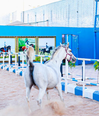 مربط ونادي شواهد نجران النسائي للفروسية - Alghuwayla Agricutural Subdivision - +966 50 097 0371