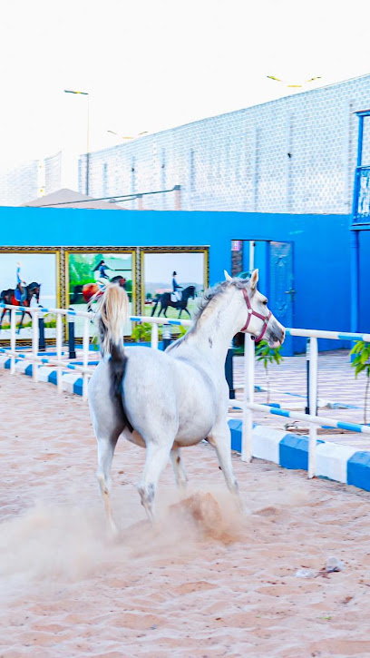 مربط ونادي شواهد نجران النسائي للفروسية - Saudi Arabia|Alghuwayla Agricutural Subdivision 66442