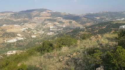 بني عمرو - آل مسلمة -