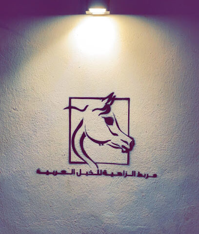 اسطبل الزاهية للخيول العربية - Buraydah - +966 54 621 1044