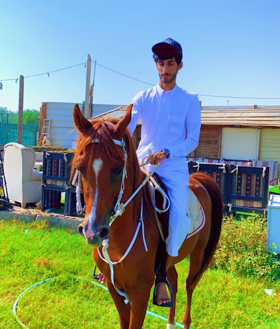 مربط الصهيل للخيول الأصيلة - Safwa - +966 58 077 9822