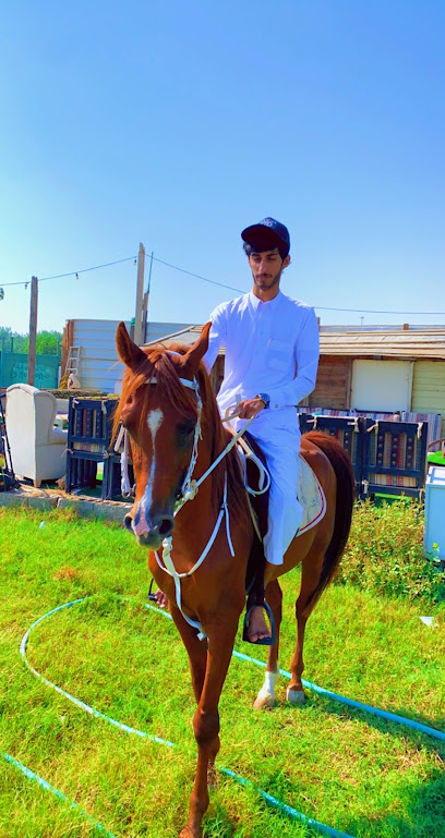 مربط الصهيل للخيول الأصيلة - Saudi Arabia|Safwa 32685|An Nahdah|شارع أبو حدرية