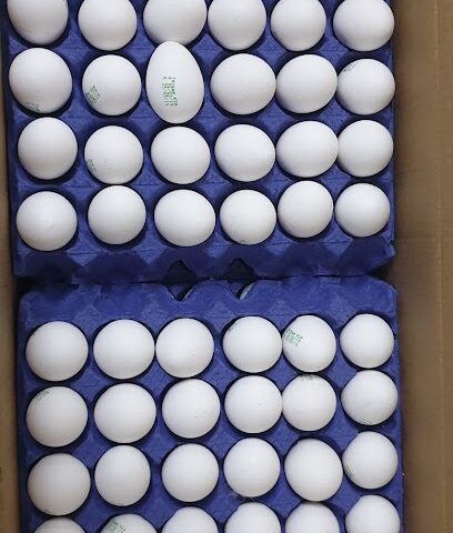 DAWAJIN FRESH EGG - Yanbu - +966 58 289 6347