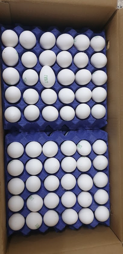 DAWAJIN FRESH EGG - Saudi Arabia|Yanbu 46428|7143