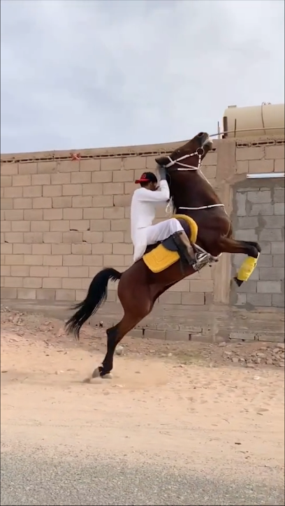 مربط شوق الاصايل - Saudi Arabia|Hail 55222|سوق الماشية،|CPGW+JQR