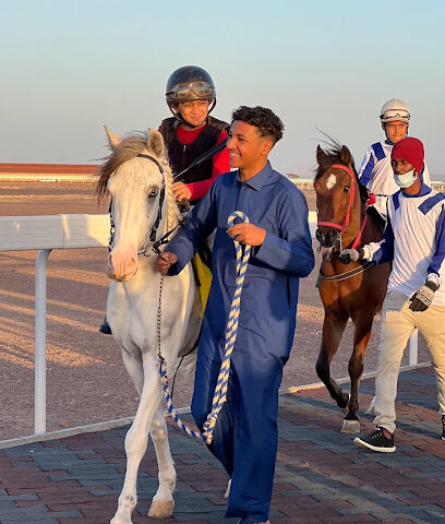 مربط اوس الحجاز للخيل العربية الاصيلة - Al Madinah Al Munawwarah - +966 55 847 3579